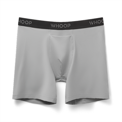 Essential Boxer