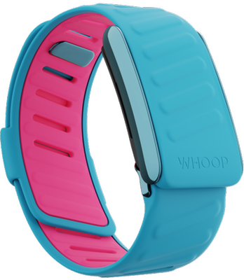 SportFlex Band