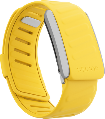 SportFlex Band