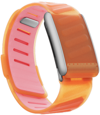 Banda SportFlex 5.0