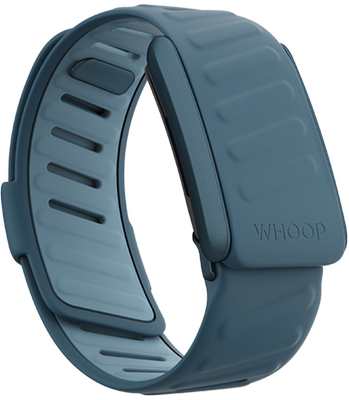 SportFlex Band