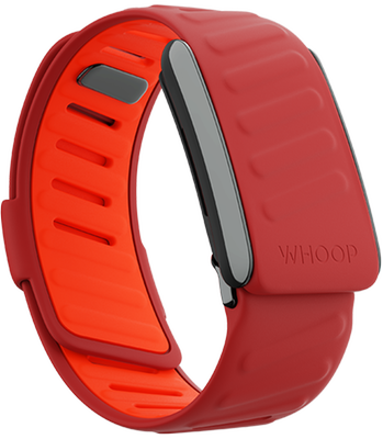 SportFlex Band