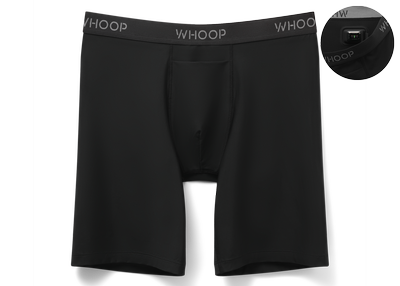 Essential Boxer